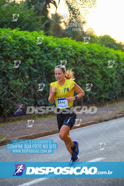 MEIA MARATONA MUFFATO FRESH RUN 2024 – LONDRINA