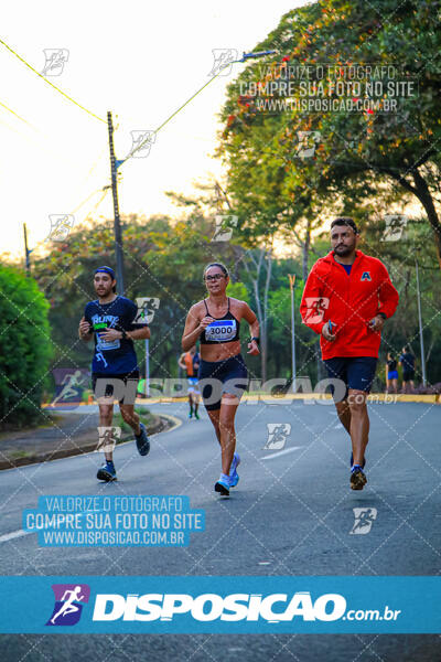 MEIA MARATONA MUFFATO FRESH RUN 2024 – LONDRINA