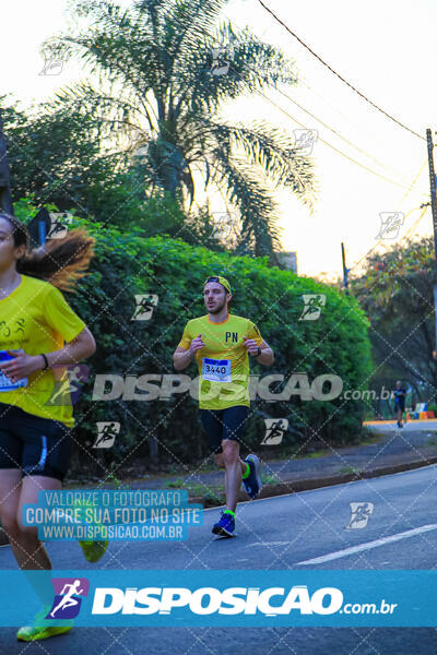 MEIA MARATONA MUFFATO FRESH RUN 2024 – LONDRINA