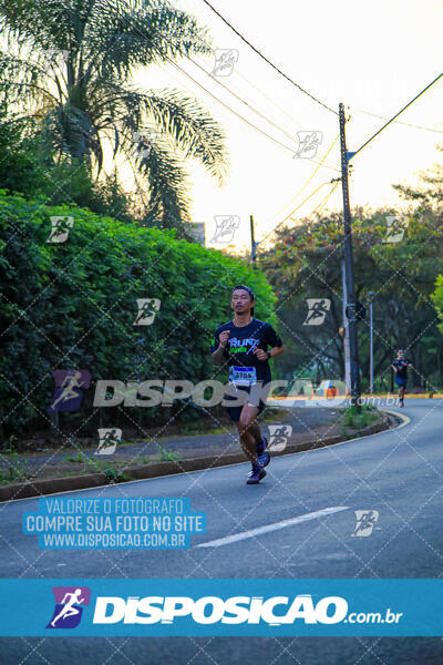 MEIA MARATONA MUFFATO FRESH RUN 2024 – LONDRINA