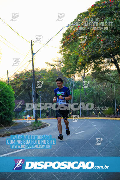 MEIA MARATONA MUFFATO FRESH RUN 2024 – LONDRINA