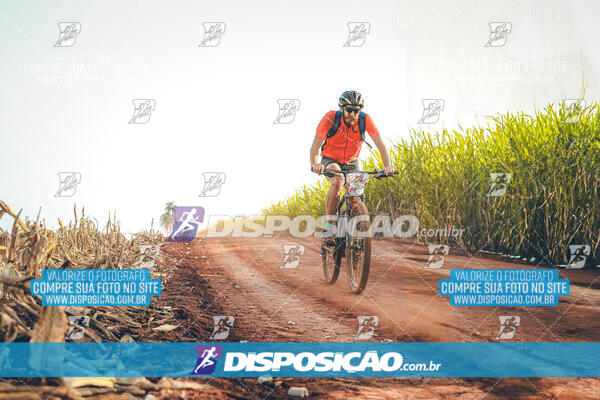 4º AlvoBike 