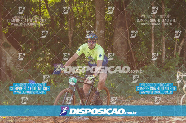 4º AlvoBike 