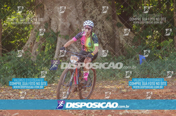 4º AlvoBike 