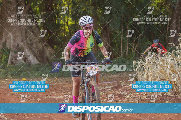 4º AlvoBike 