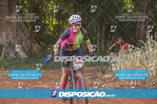 4º AlvoBike 