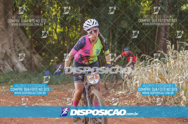 4º AlvoBike 