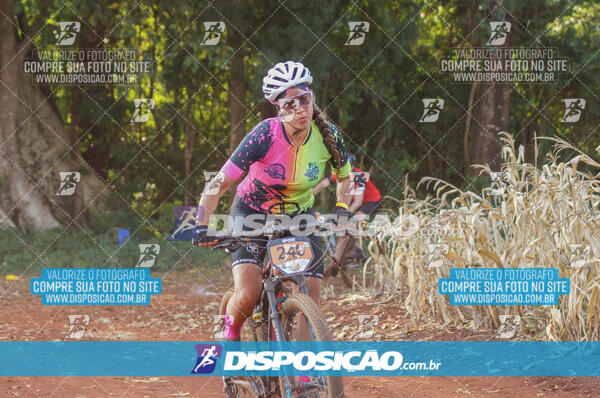 4º AlvoBike 