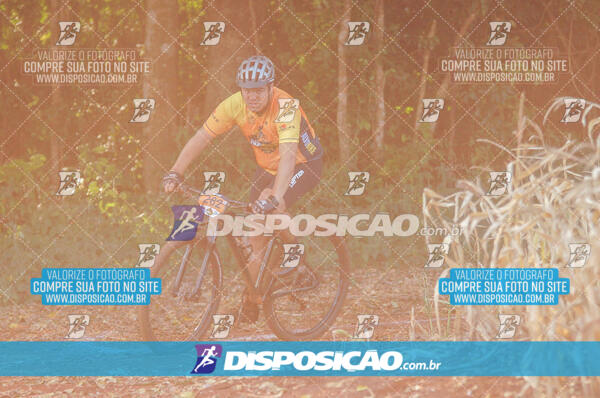 4º AlvoBike 