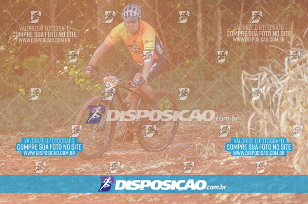 4º AlvoBike 