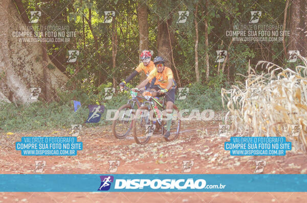 4º AlvoBike 