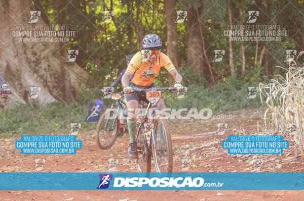 4º AlvoBike 