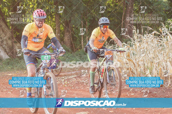 4º AlvoBike 