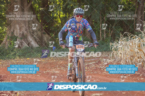 4º AlvoBike 