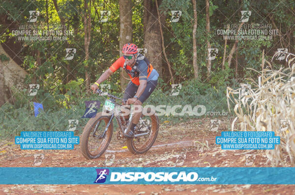 4º AlvoBike 