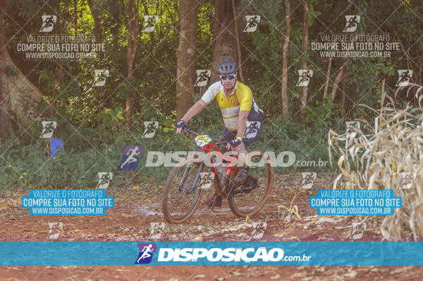 4º AlvoBike 