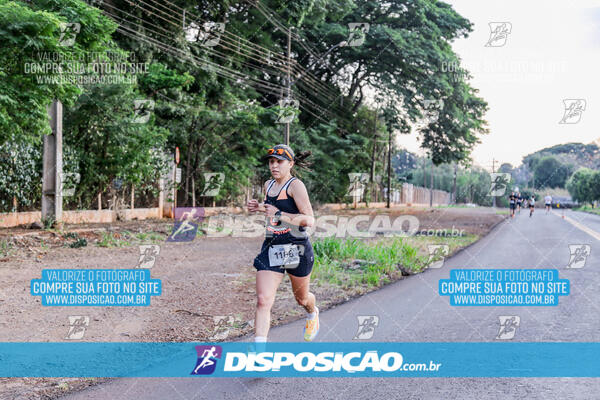 Circuito  de Corridas Angeloni 2024  Maringá