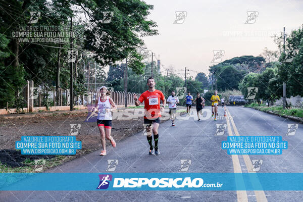 Circuito  de Corridas Angeloni 2024  Maringá