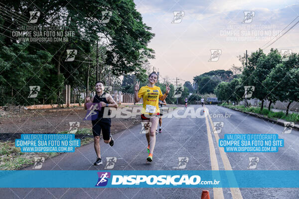 Circuito  de Corridas Angeloni 2024  Maringá