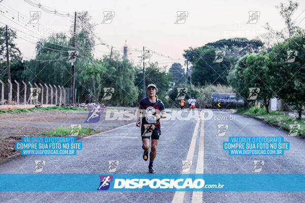 Circuito  de Corridas Angeloni 2024  Maringá