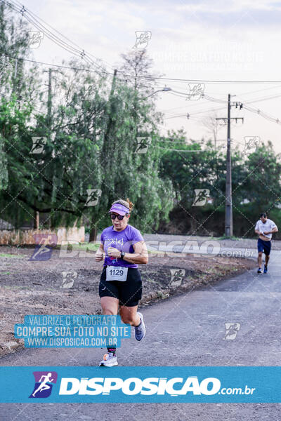 Circuito  de Corridas Angeloni 2024  Maringá