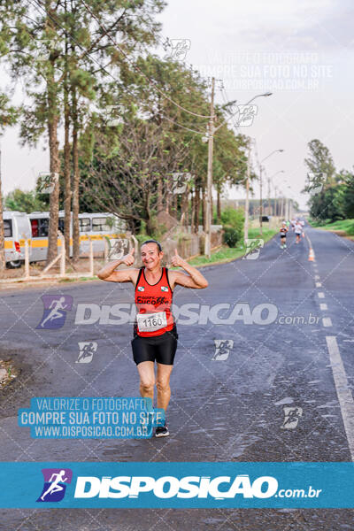 Circuito  de Corridas Angeloni 2024  Maringá