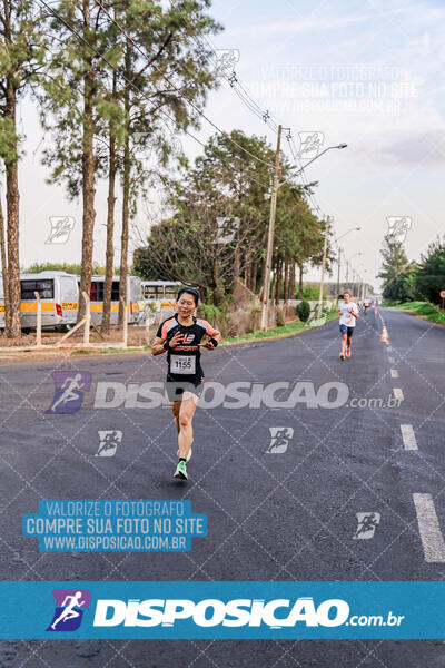 Circuito  de Corridas Angeloni 2024  Maringá