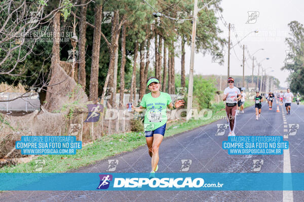 Circuito  de Corridas Angeloni 2024  Maringá