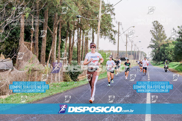 Circuito  de Corridas Angeloni 2024  Maringá