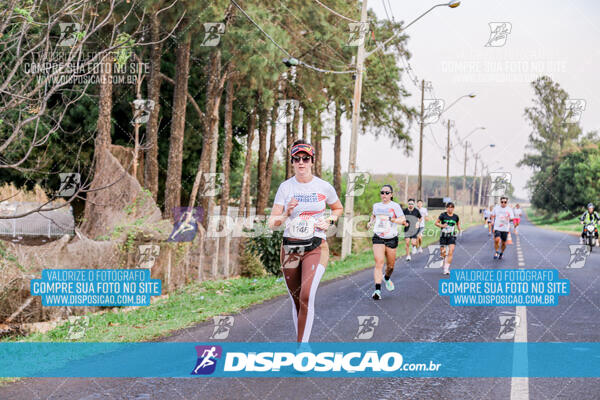 Circuito  de Corridas Angeloni 2024  Maringá