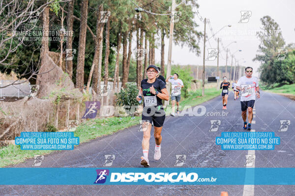 Circuito  de Corridas Angeloni 2024  Maringá