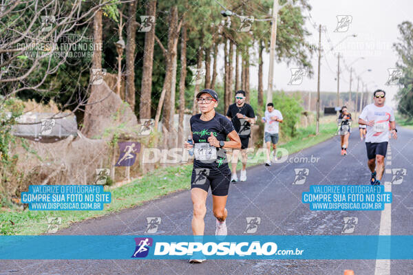 Circuito  de Corridas Angeloni 2024  Maringá