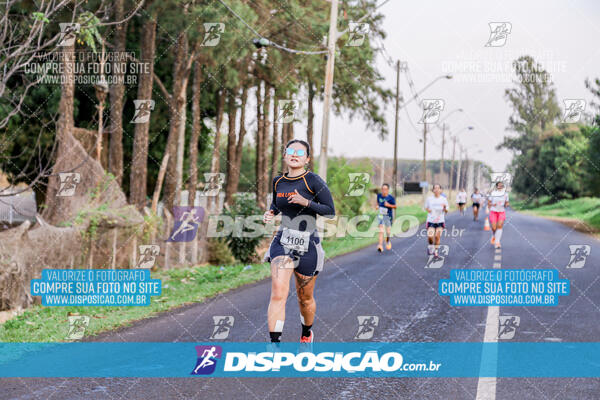 Circuito  de Corridas Angeloni 2024  Maringá