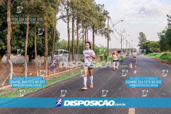 Circuito  de Corridas Angeloni 2024  Maringá