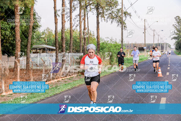 Circuito  de Corridas Angeloni 2024  Maringá