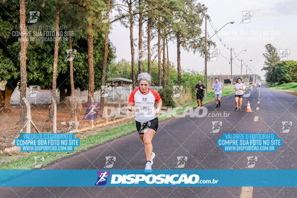 Circuito  de Corridas Angeloni 2024  Maringá