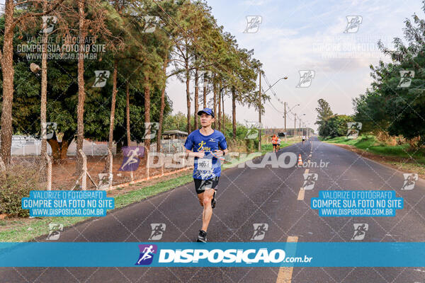 Circuito  de Corridas Angeloni 2024  Maringá