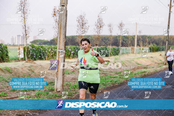 Circuito  de Corridas Angeloni 2024  Maringá