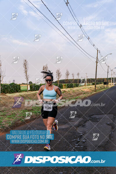 Circuito  de Corridas Angeloni 2024  Maringá