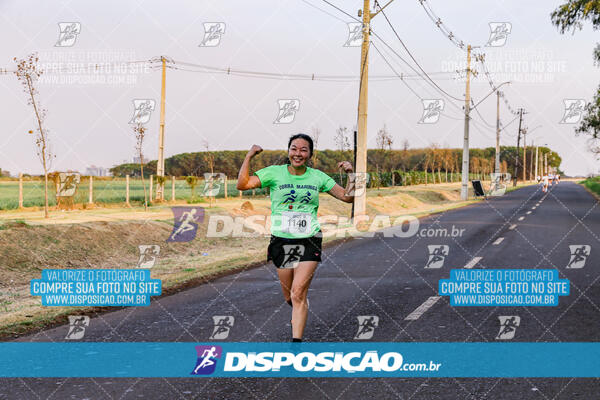 Circuito  de Corridas Angeloni 2024  Maringá