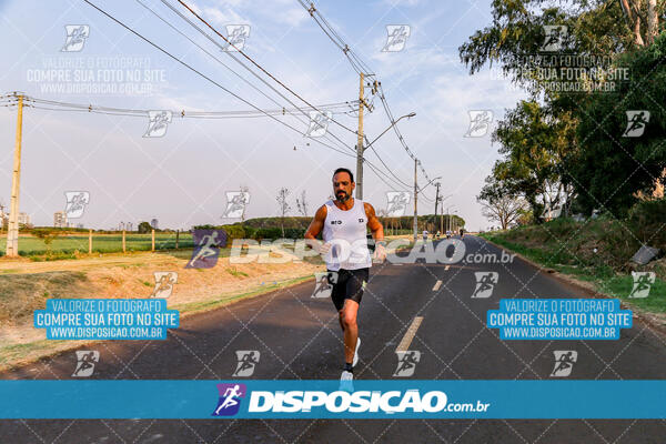 Circuito  de Corridas Angeloni 2024  Maringá