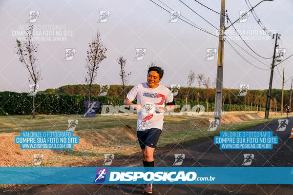 Circuito  de Corridas Angeloni 2024  Maringá