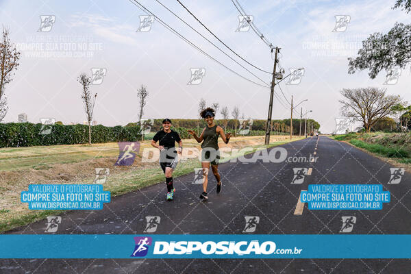 Circuito  de Corridas Angeloni 2024  Maringá