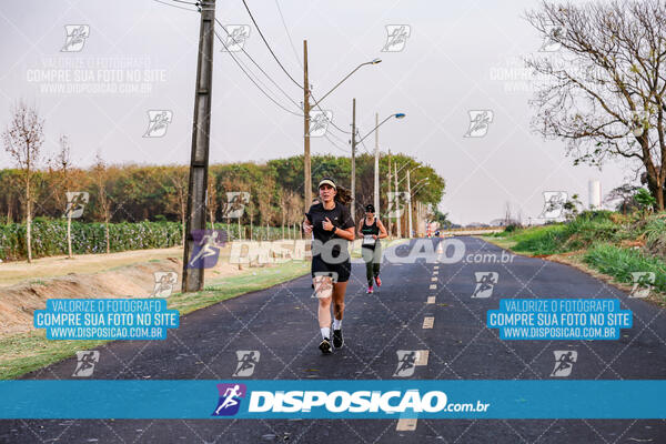 Circuito  de Corridas Angeloni 2024  Maringá