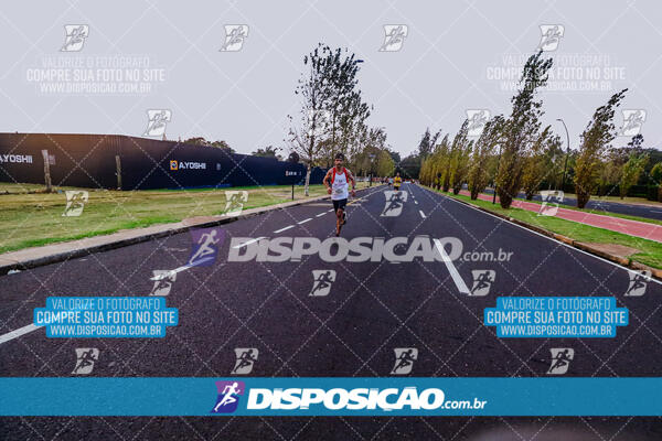 Circuito  de Corridas Angeloni 2024  Maringá