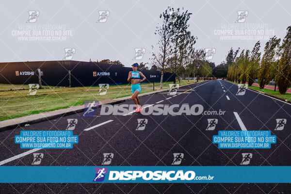 Circuito  de Corridas Angeloni 2024  Maringá