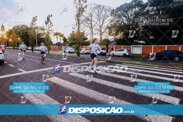 Circuito  de Corridas Angeloni 2024  Maringá