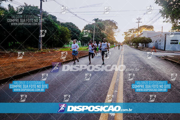 Circuito  de Corridas Angeloni 2024  Maringá