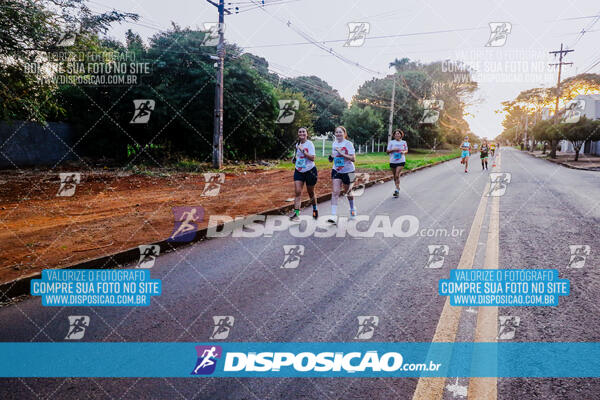 Circuito  de Corridas Angeloni 2024  Maringá