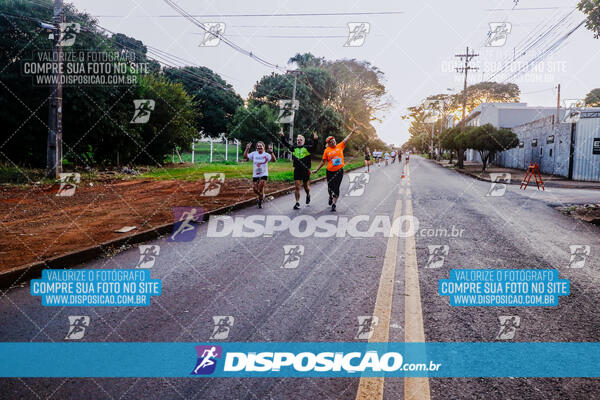 Circuito  de Corridas Angeloni 2024  Maringá